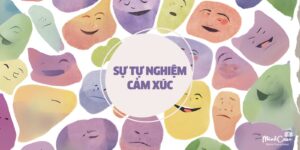 sự tự nghiệm cảm xúc